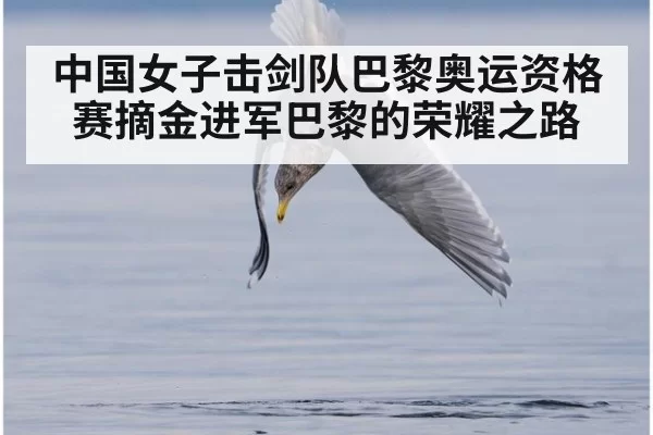 中国女子击剑队巴黎奥运资格赛摘金进军巴黎的荣耀之路