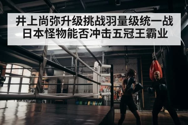 boxer training gym